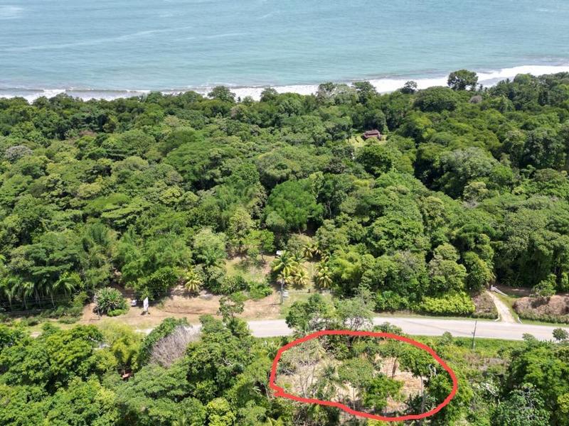 0 bed Land For Sale in Uvita, Puntarenas - 1