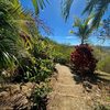  - Peaceful Yoga Retreat in 4 Acres Close to Tamarindo