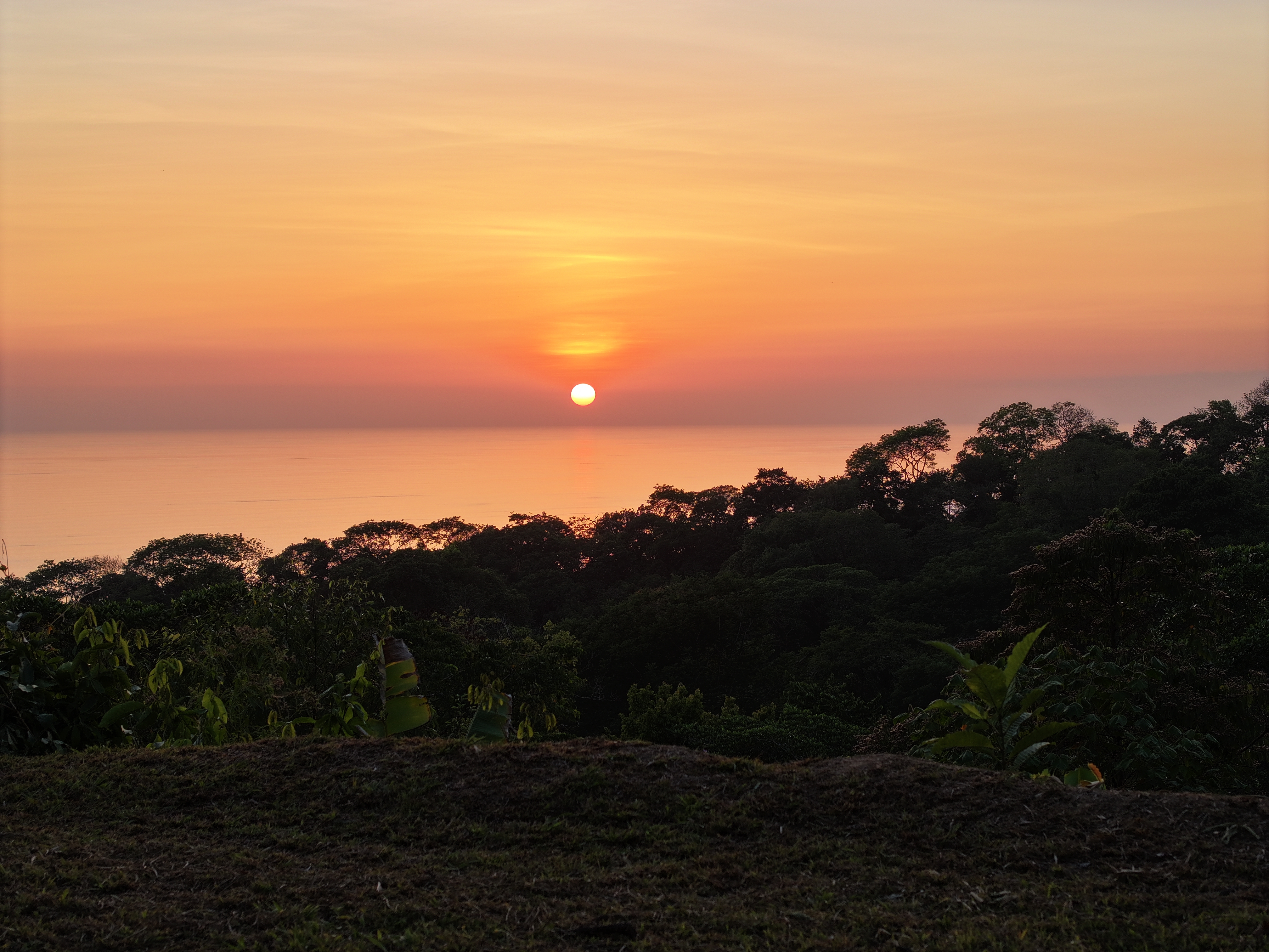 0 bed Land For Sale in Uvita, Puntarenas - thumb 5