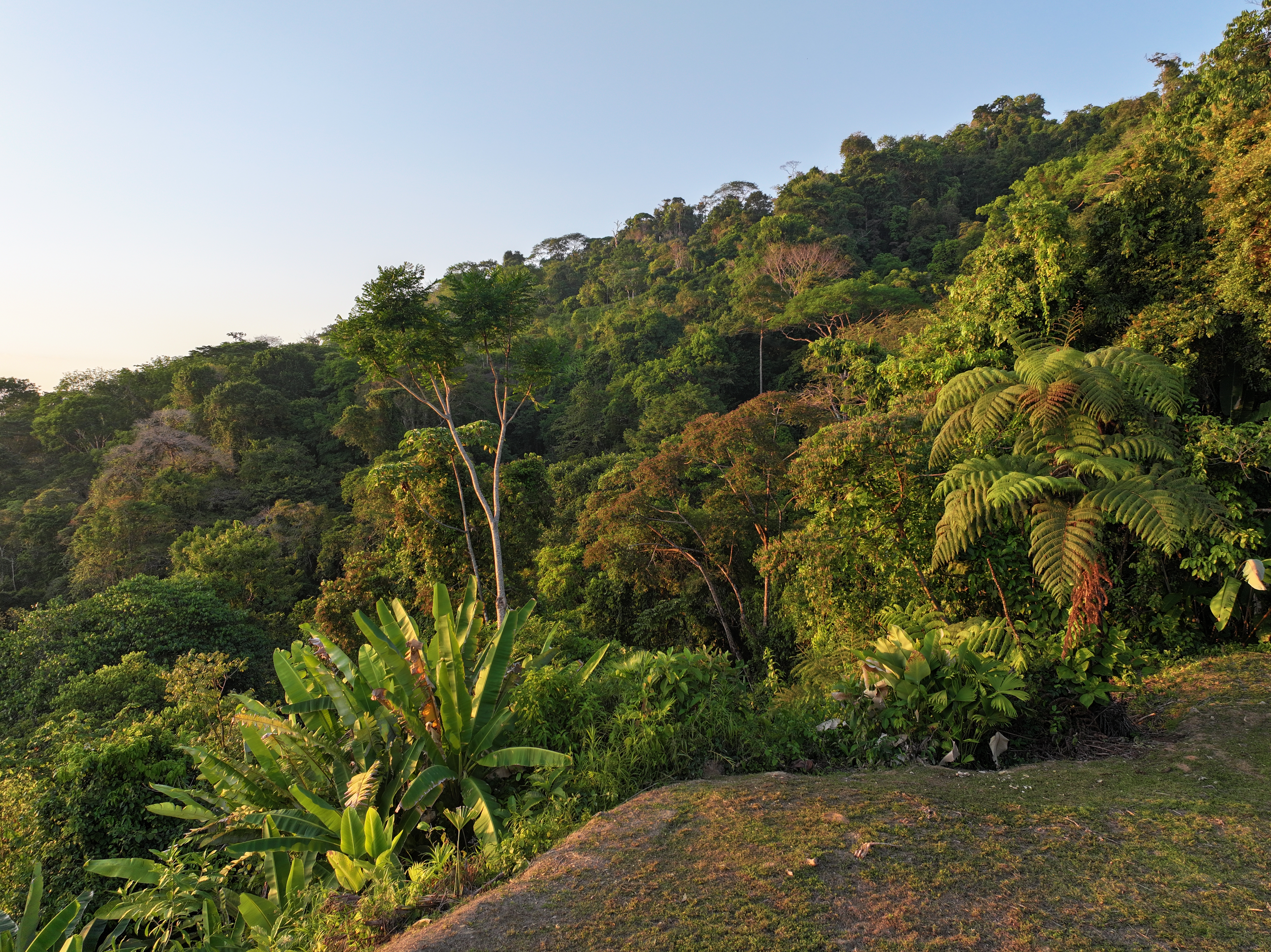 0 bed Land For Sale in Uvita, Puntarenas - thumb 17