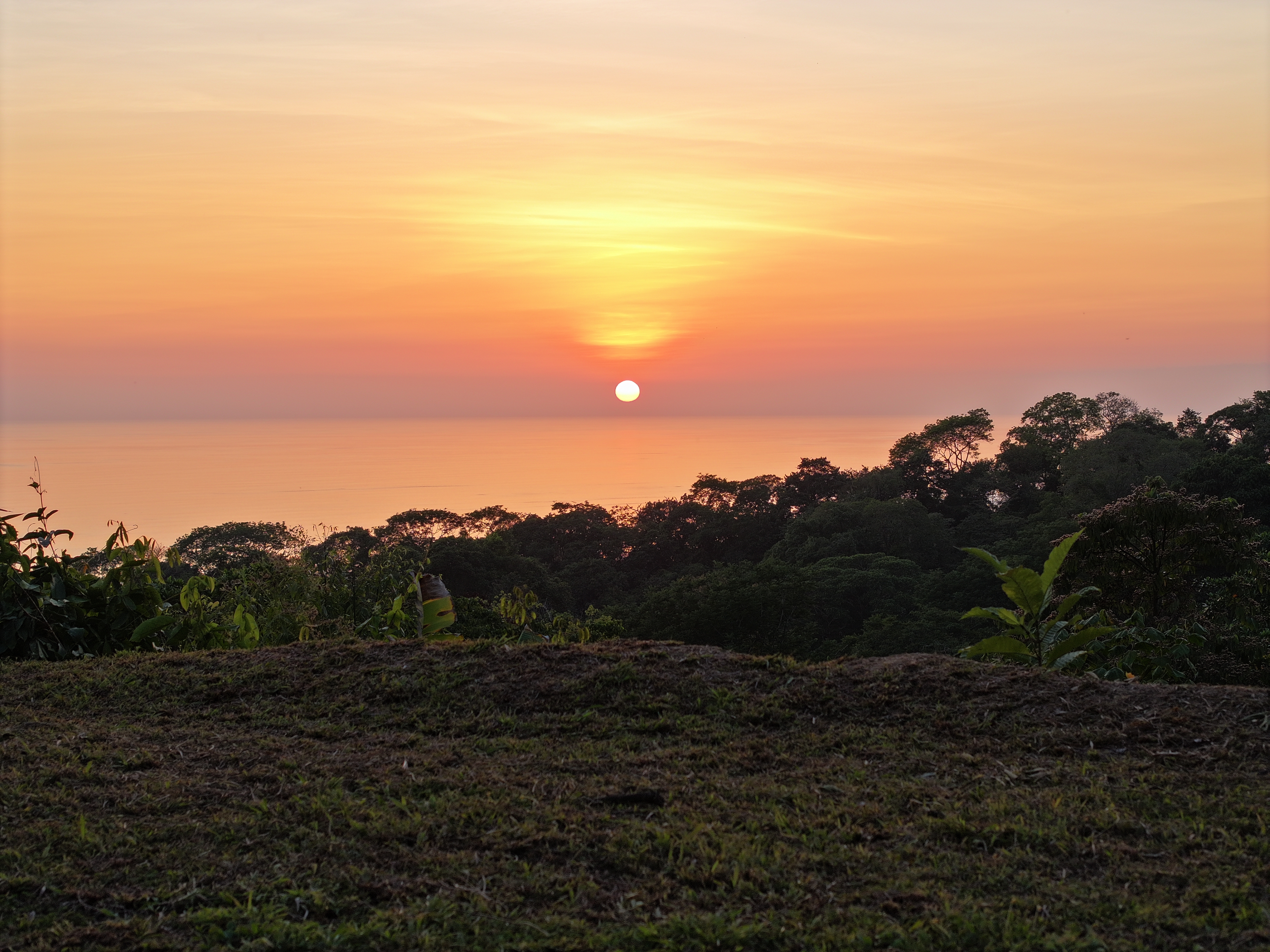 0 bed Land For Sale in Uvita, Puntarenas - thumb 8
