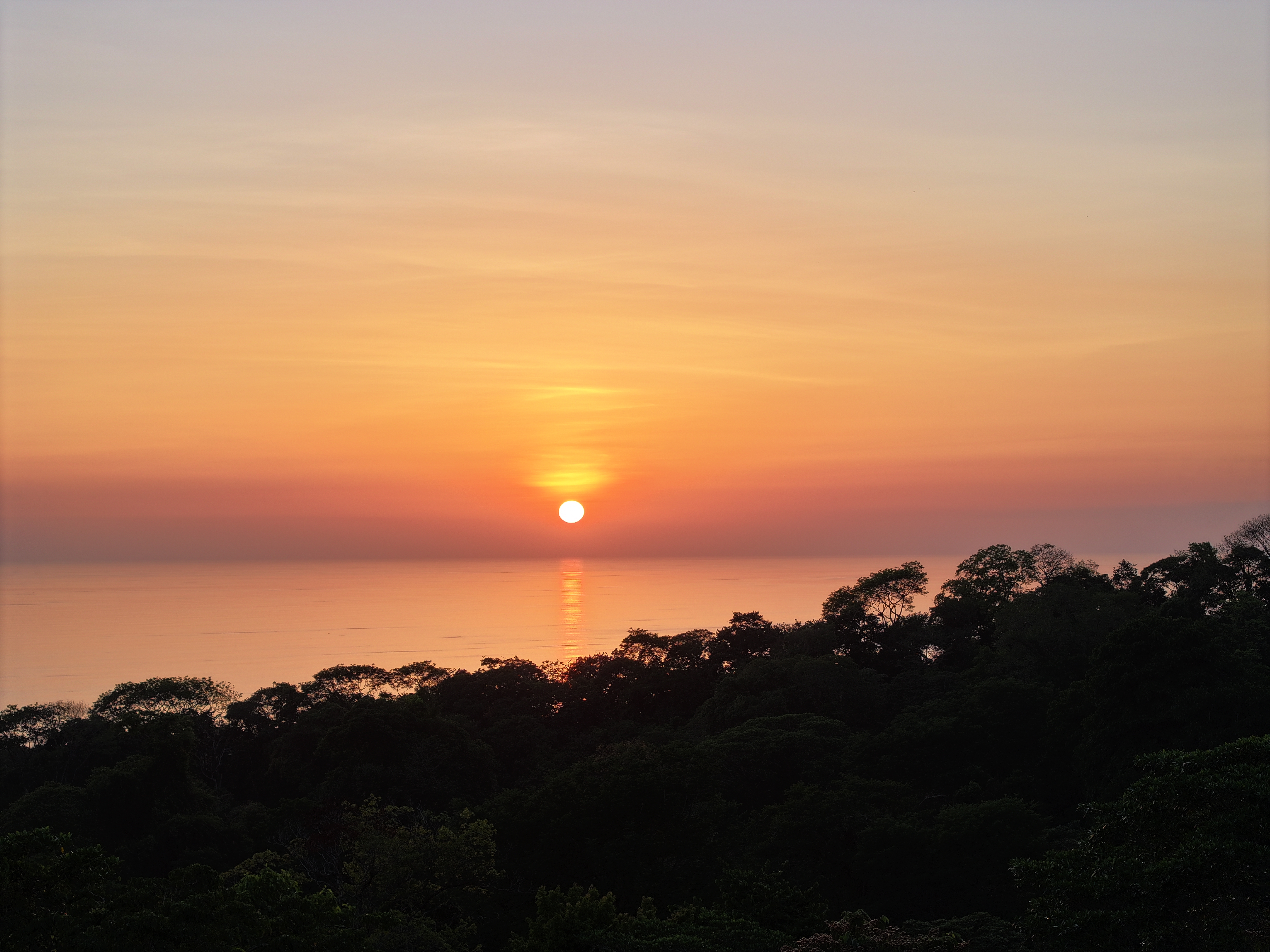 0 bed Land For Sale in Uvita, Puntarenas - thumb 7