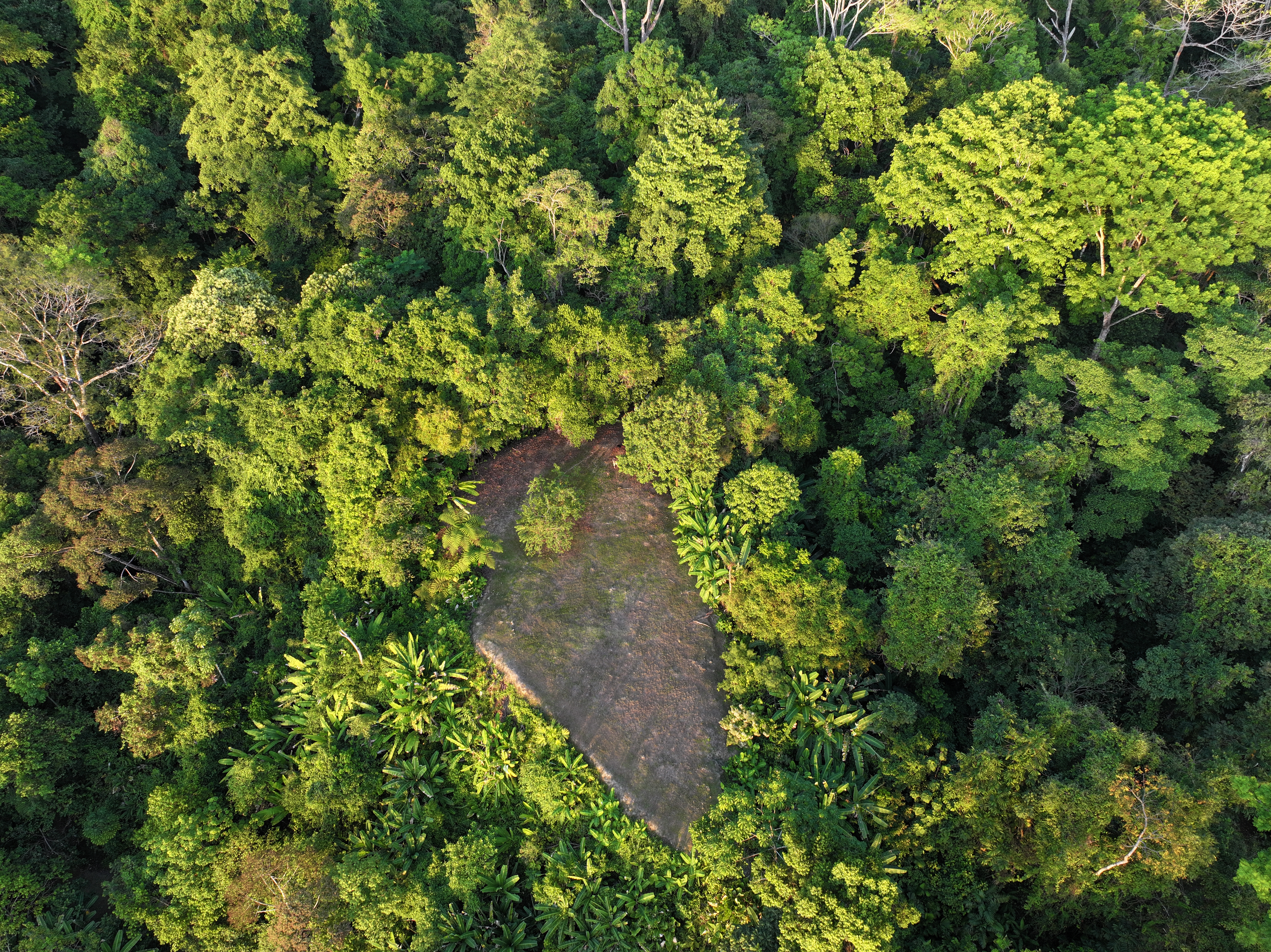 0 bed Land For Sale in Uvita, Puntarenas - thumb 2
