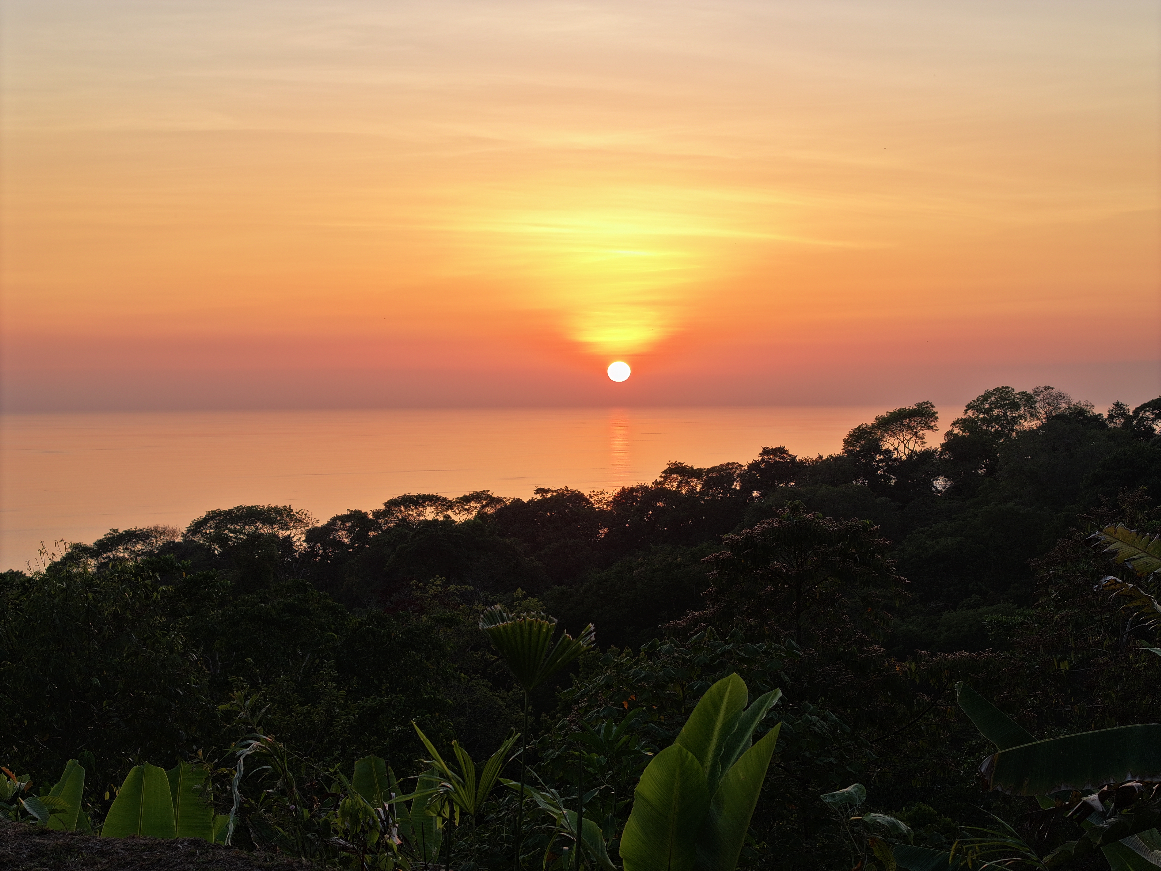 0 bed Land For Sale in Uvita, Puntarenas - thumb 1