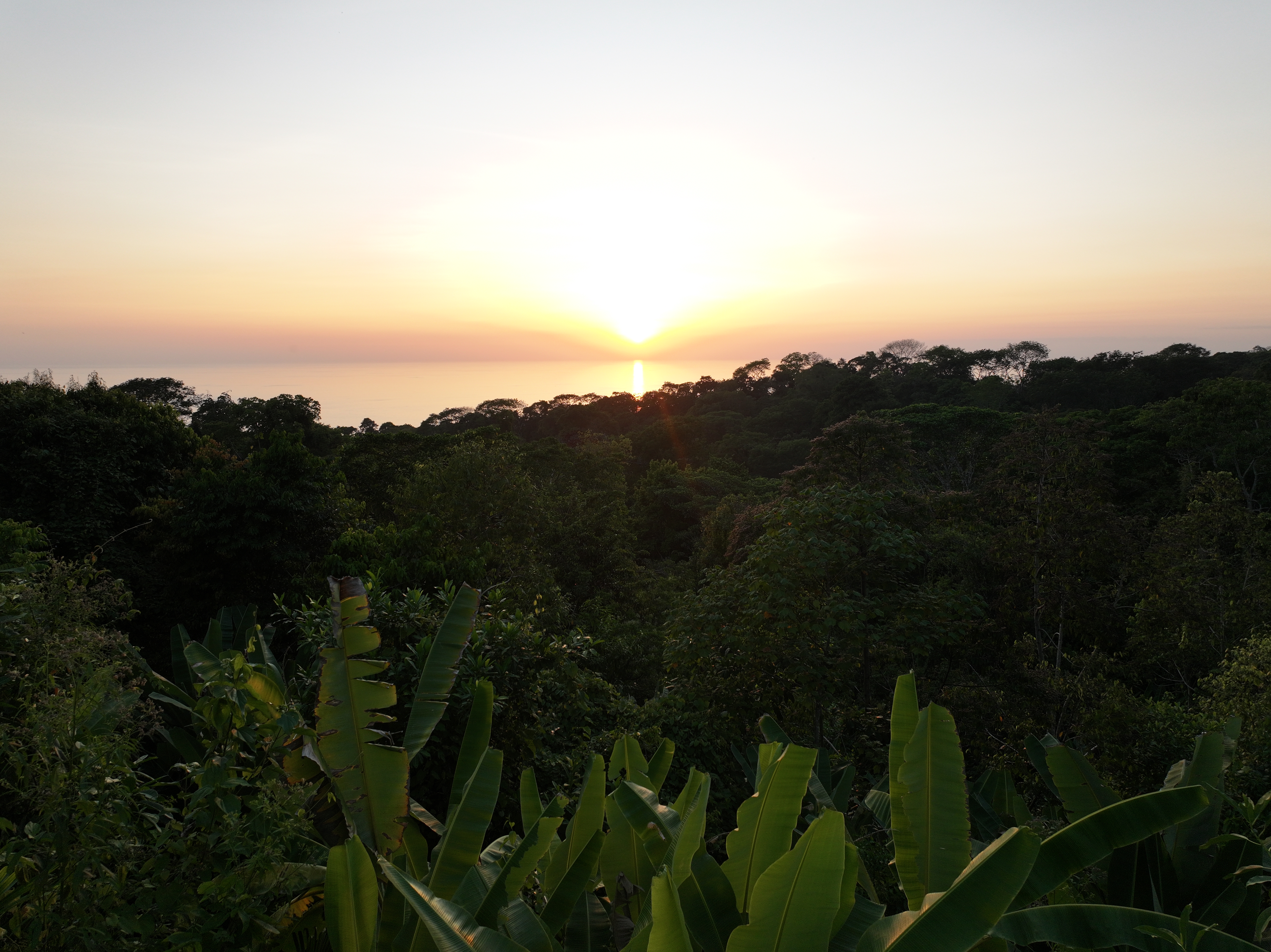 0 bed Land For Sale in Uvita, Puntarenas - thumb 28