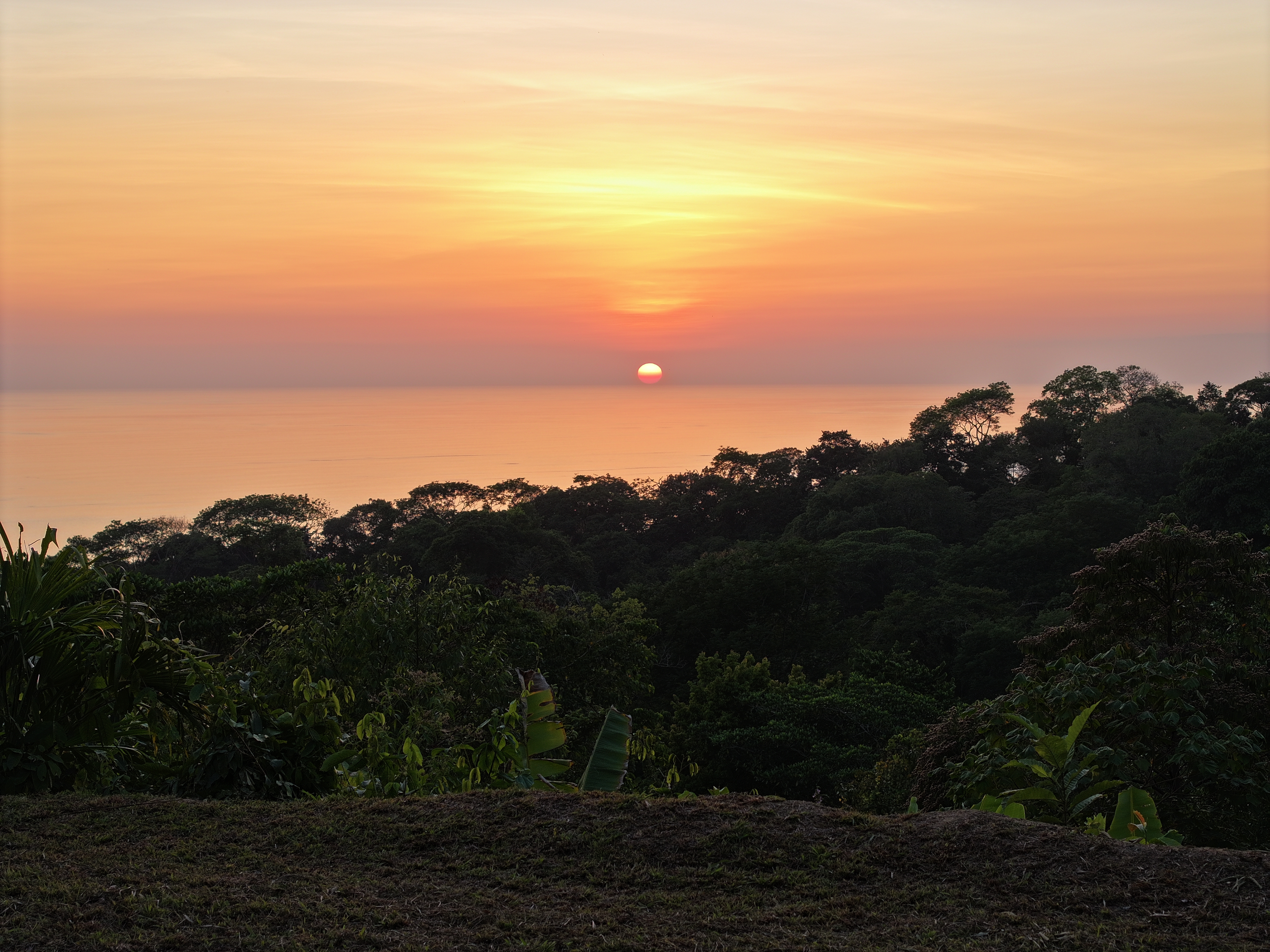0 bed Land For Sale in Uvita, Puntarenas - thumb 4