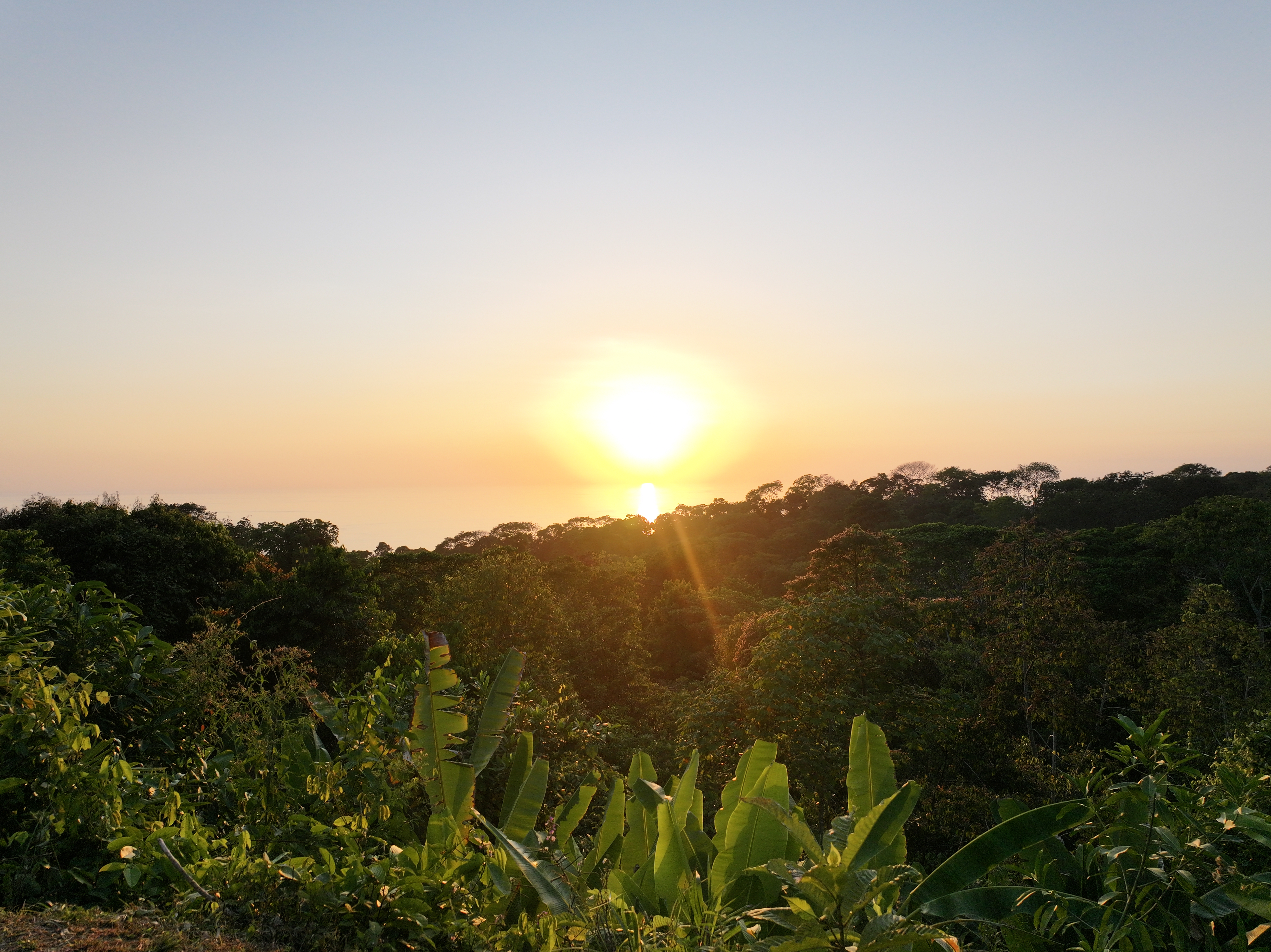 0 bed Land For Sale in Uvita, Puntarenas - thumb 3
