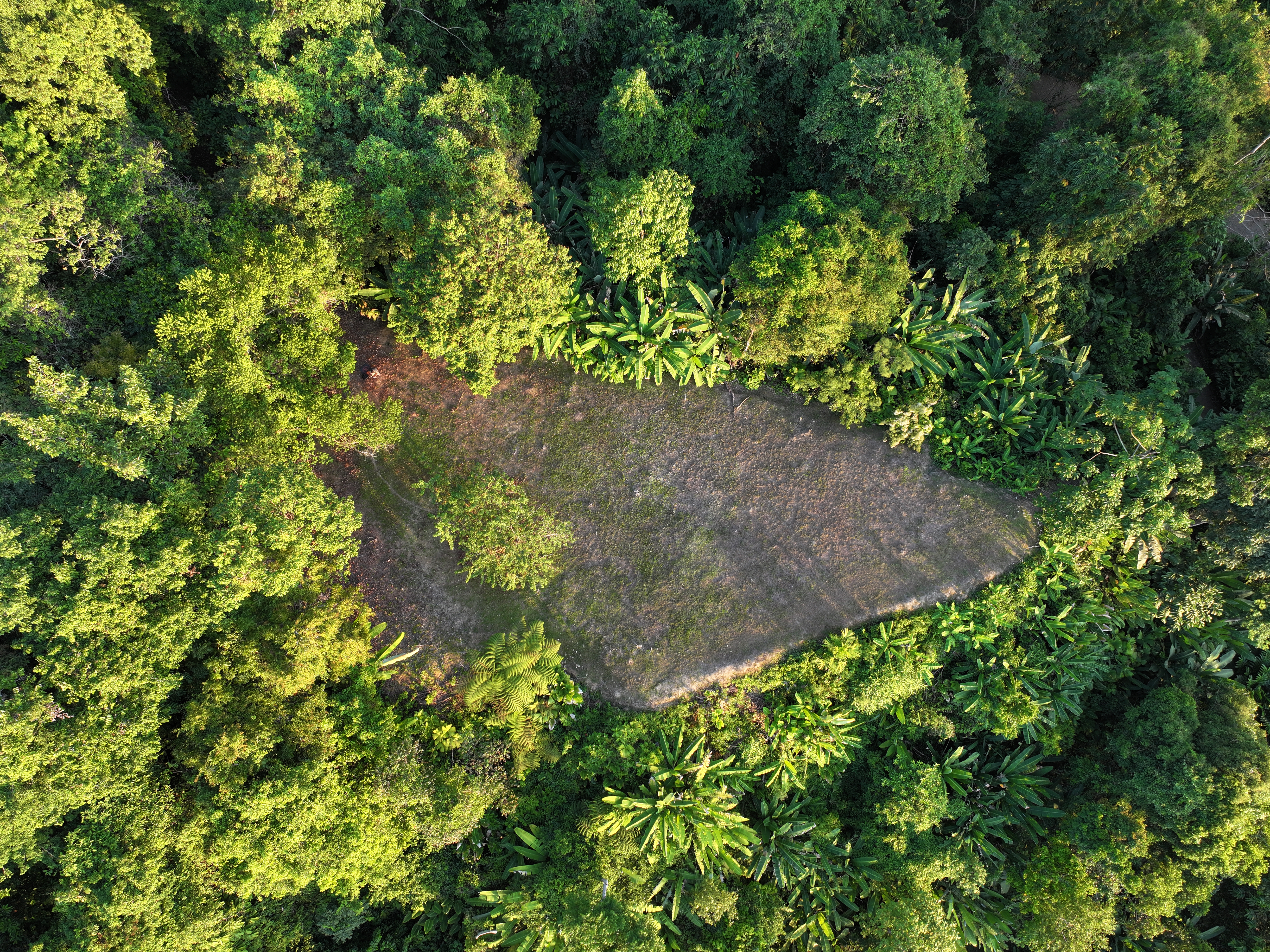 0 bed Land For Sale in Uvita, Puntarenas - thumb 13