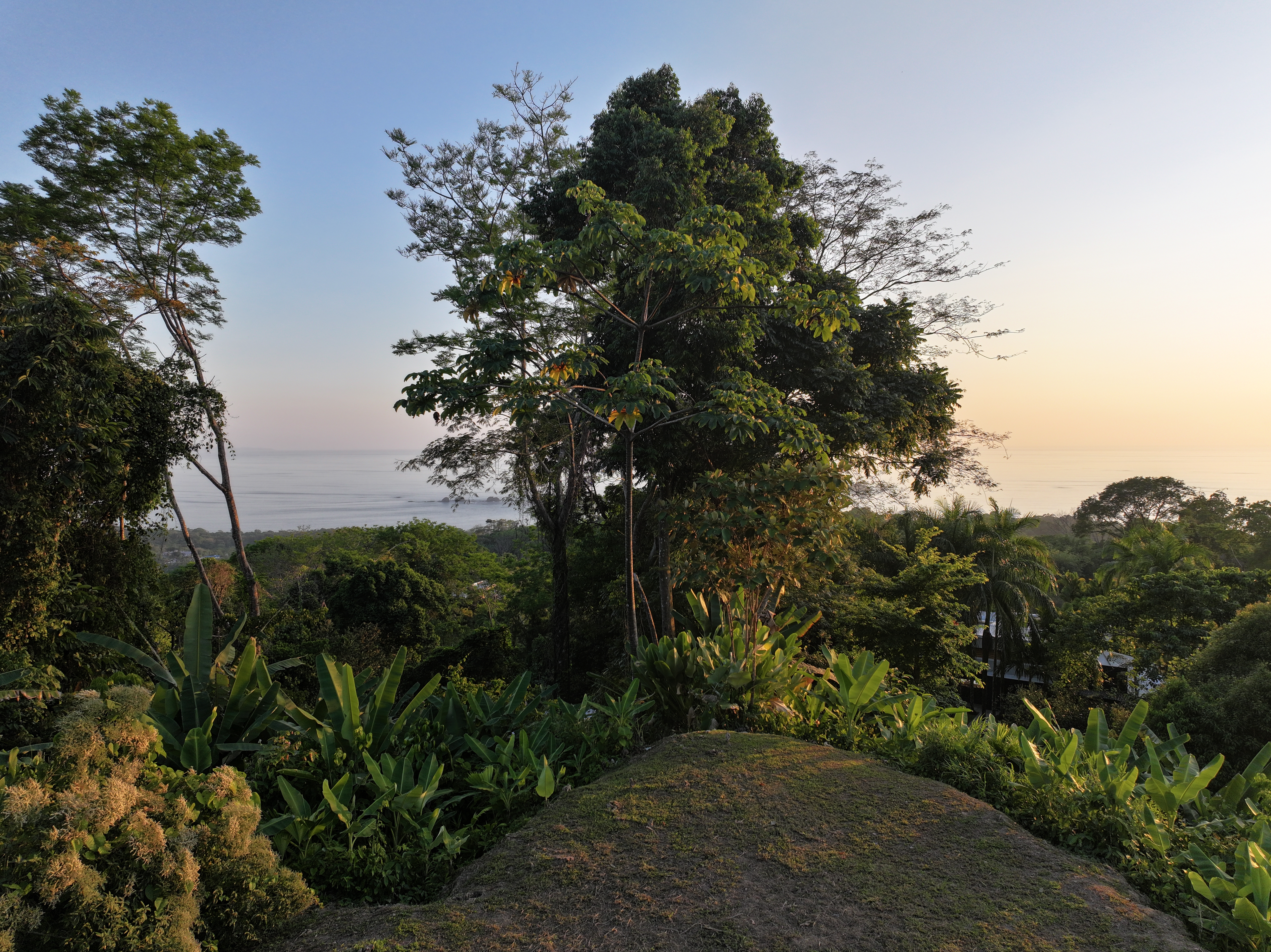 0 bed Land For Sale in Uvita, Puntarenas - thumb 16