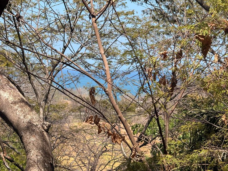 0 bed Land For Sale in Nosara, Guanacaste - 1