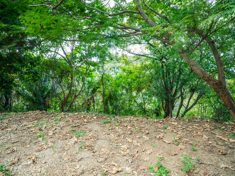0 bed Land For Sale in Nosara, Guanacaste - 1