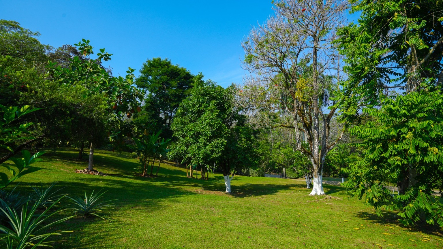 2 bed Single Family Homes For Sale in Ojochal, Puntarenas - thumb 6
