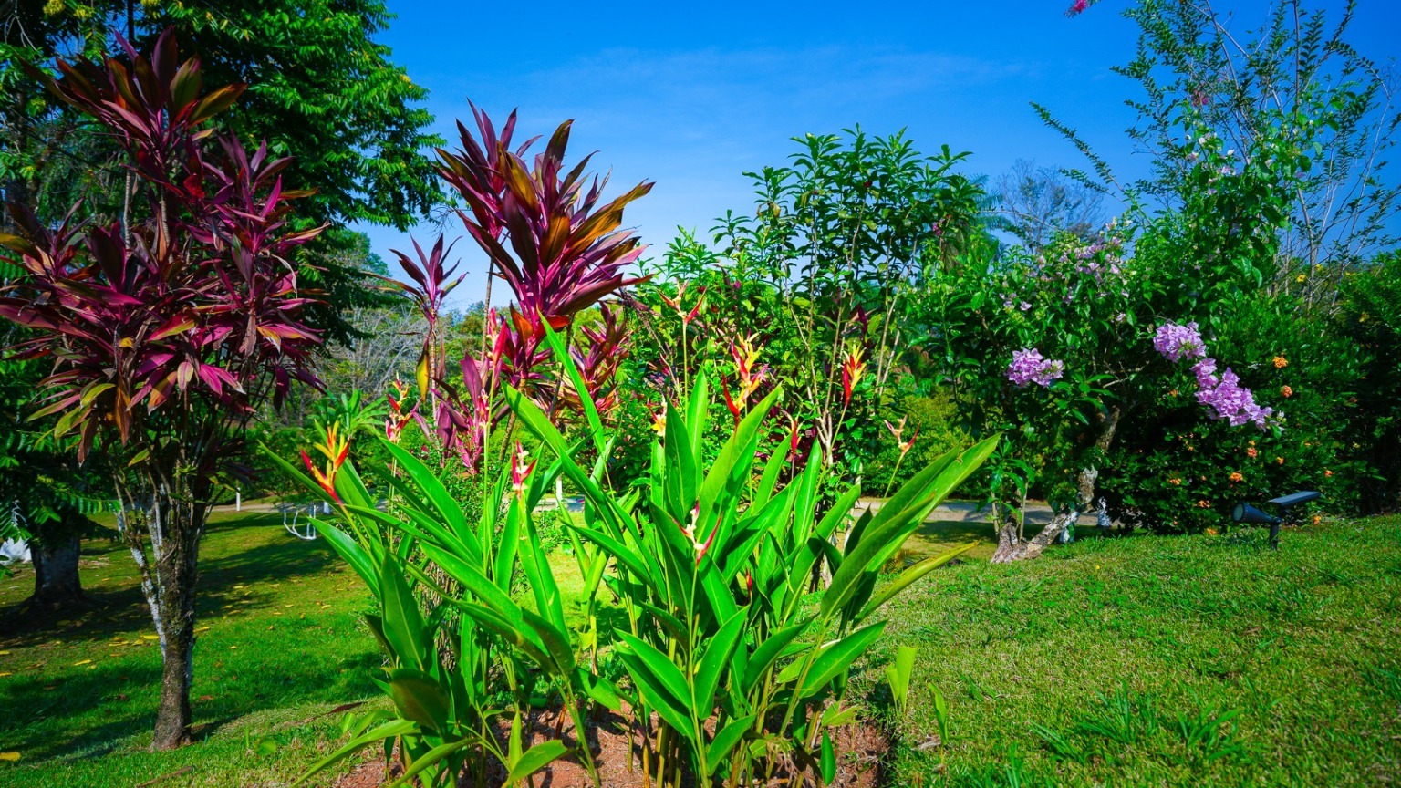 2 bed Single Family Homes For Sale in Ojochal, Puntarenas - thumb 8