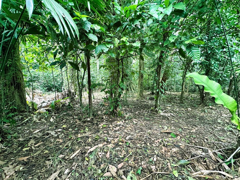0 bed Land For Sale in Puerto Viejo, Limón - 1