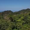  - Hilltop Ocean View Lot with Jungle Surroundings in Malpaís