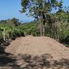  - Hilltop Ocean View Lot with Jungle Surroundings in Malpaís