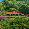  - Private Luxury Estate with 3 Homes, Ocean Views & Tropical Privacy in Tres Rios