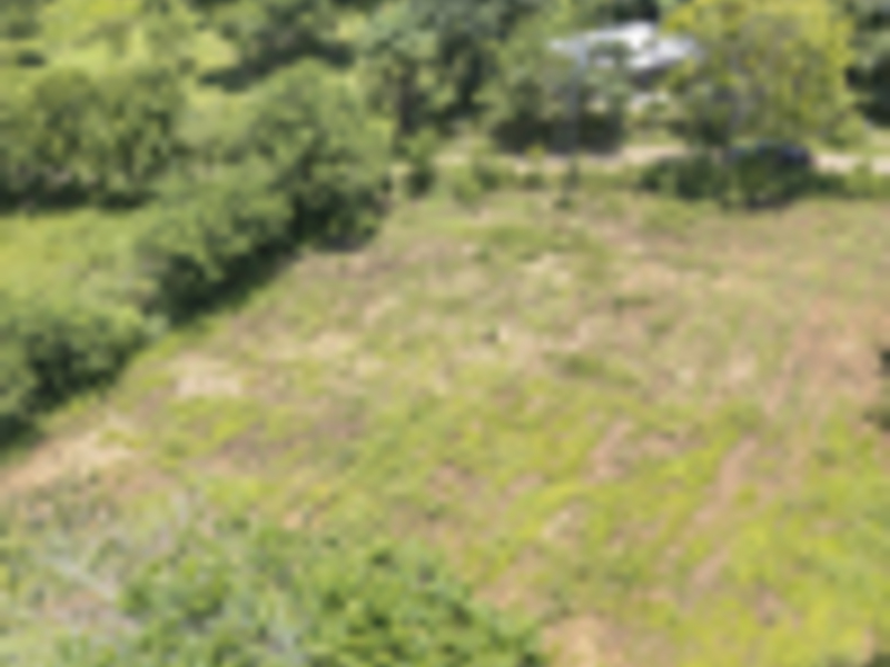 0 bed Land For Sale in Delicias, Puntarenas - hero 5