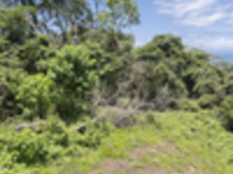0 bed Land For Sale in Delicias, Puntarenas - hero 11