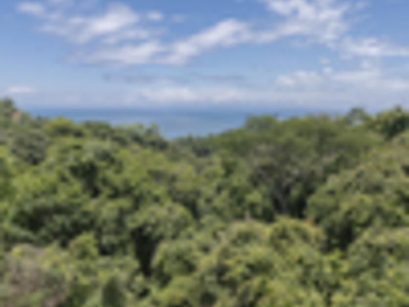 0 bed Land For Sale in Delicias, Puntarenas - hero 17