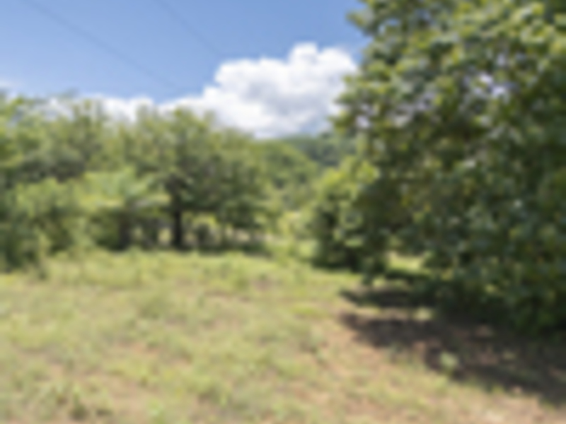 0 bed Land For Sale in Delicias, Puntarenas - hero 6