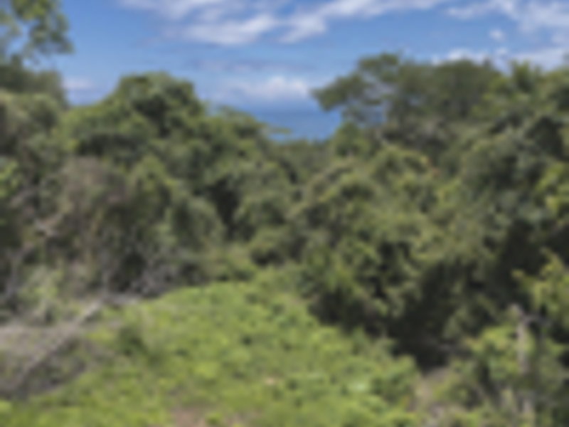 0 bed Land For Sale in Delicias, Puntarenas - hero 12