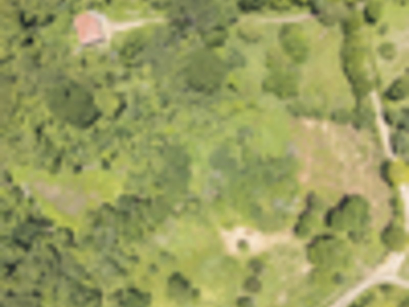 0 bed Land For Sale in Delicias, Puntarenas - hero 2