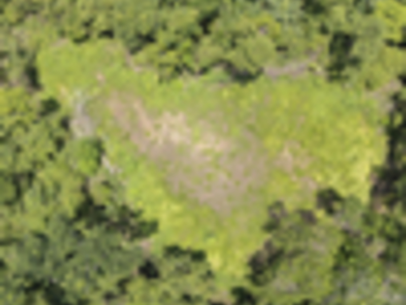 0 bed Land For Sale in Delicias, Puntarenas - hero 10
