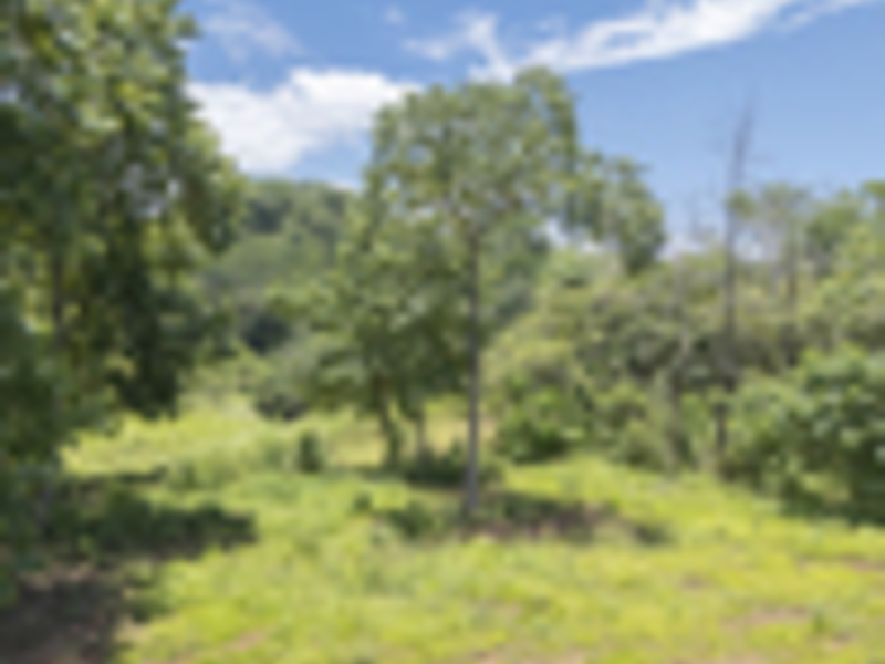 0 bed Land For Sale in Delicias, Puntarenas - hero 8