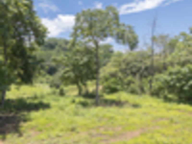 0 bed Land For Sale in Delicias, Puntarenas - hero 7