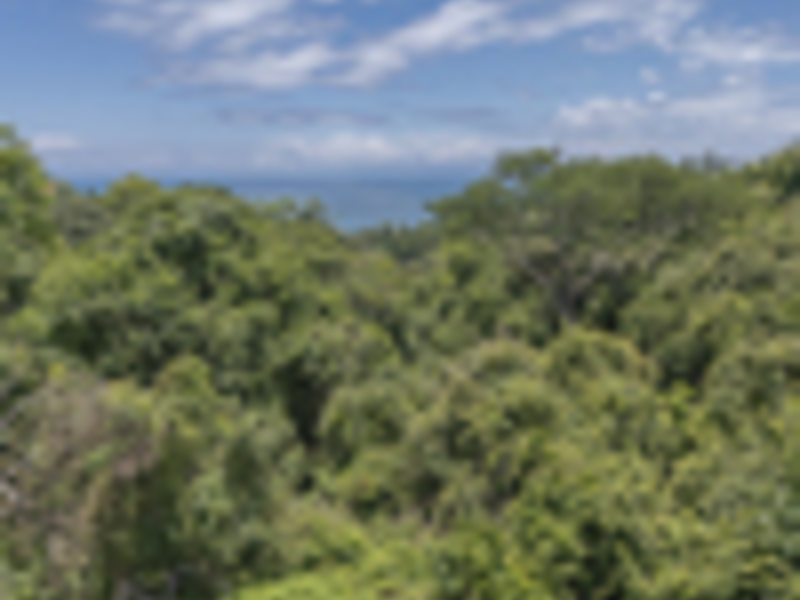0 bed Land For Sale in Delicias, Puntarenas - hero 16