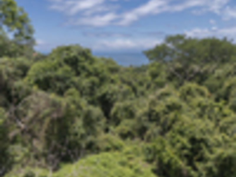 0 bed Land For Sale in Delicias, Puntarenas - 1