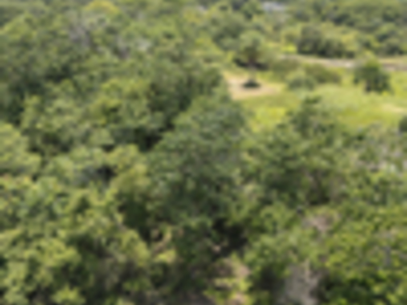 0 bed Land For Sale in Delicias, Puntarenas - hero 4
