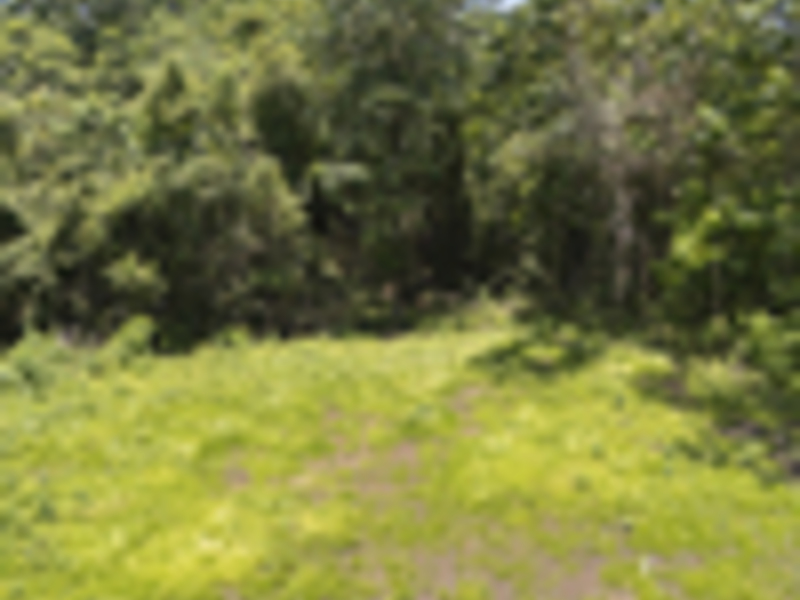 0 bed Land For Sale in Delicias, Puntarenas - hero 13