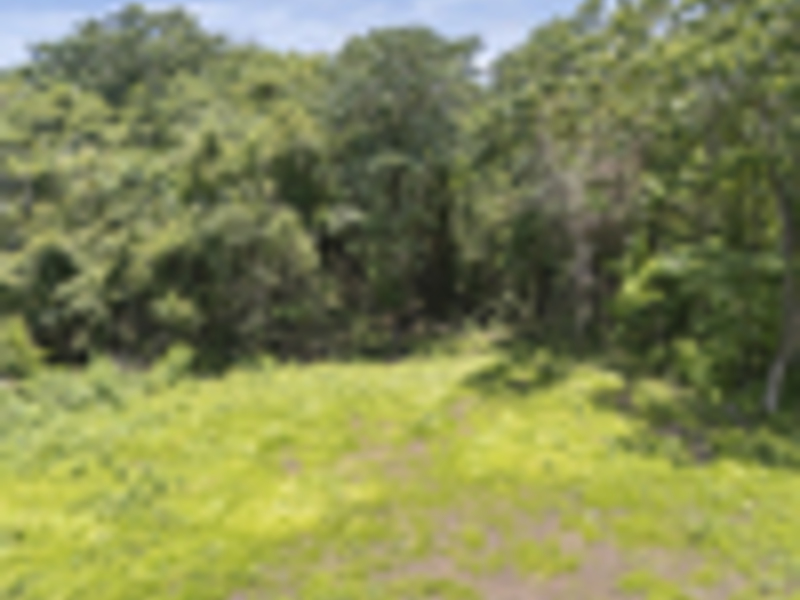 0 bed Land For Sale in Delicias, Puntarenas - hero 3
