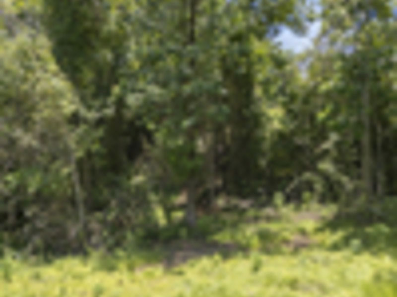 0 bed Land For Sale in Delicias, Puntarenas - hero 14