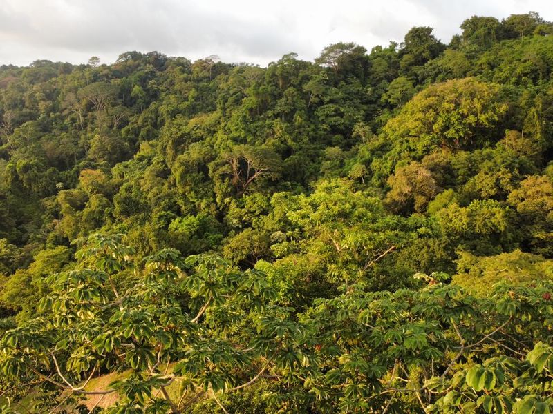 0 bed Land For Sale in Santa Teresa, Puntarenas - 1