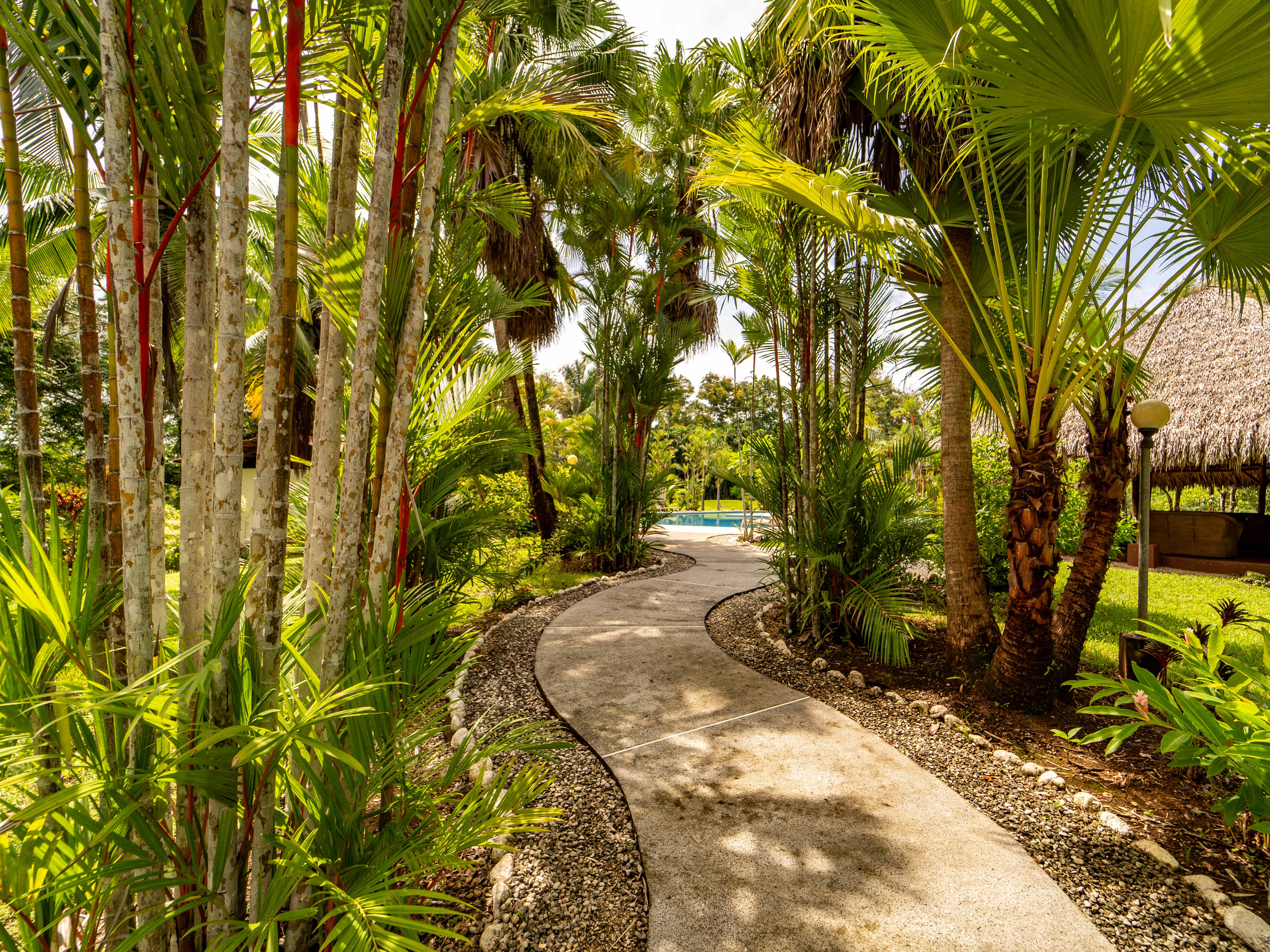 0 bed Land For Sale in Playa Carrillo, Guanacaste - thumb 7