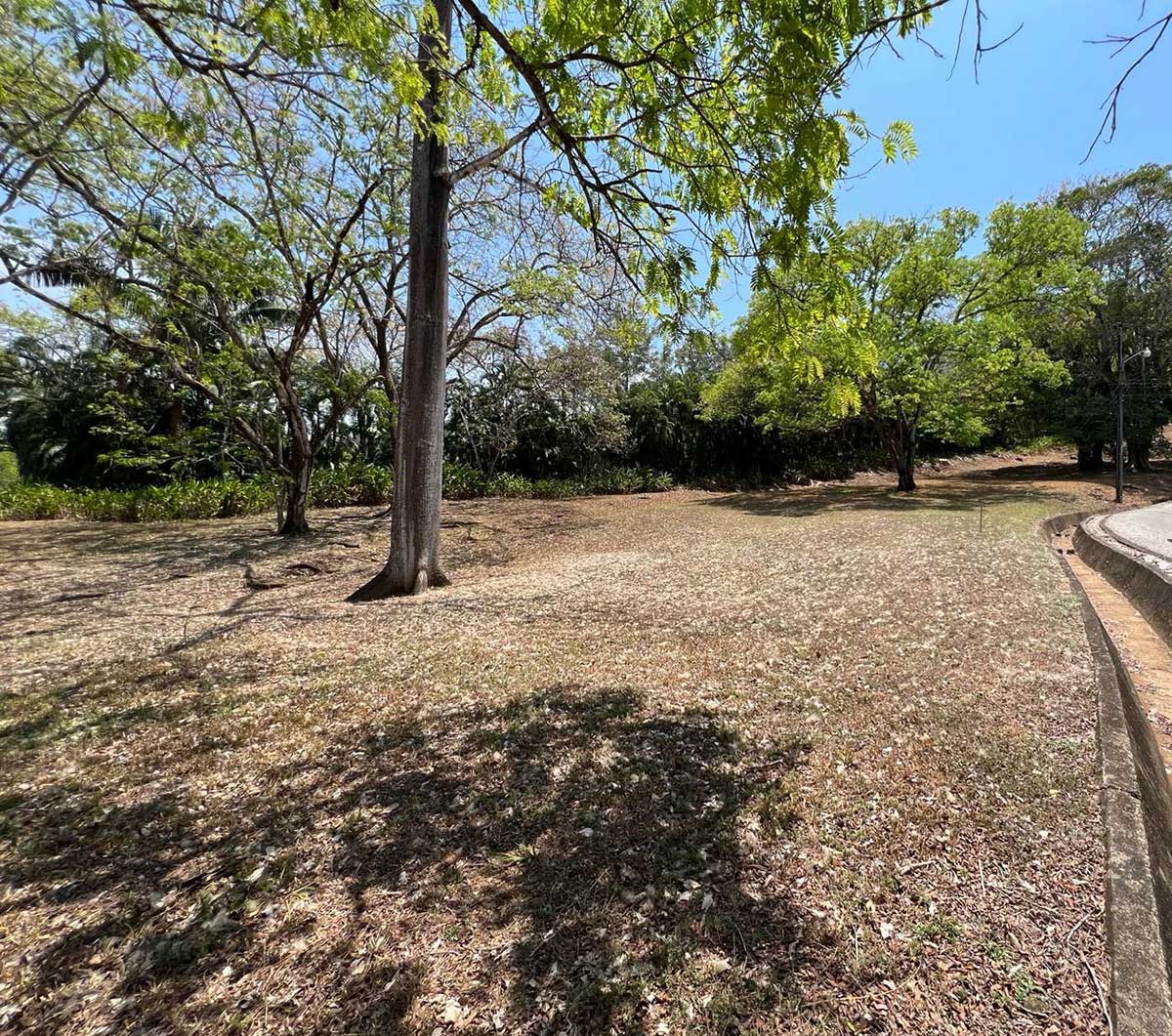 0 bed Land For Sale in Playa Carrillo, Guanacaste - thumb 9