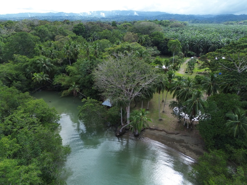 4 bed Single Family Homes For Sale in Puerto Jimenez, Puntarenas - 1