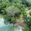  - Beachfront Property in Puerto Jimenez