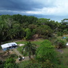  - Beachfront Property in Puerto Jimenez