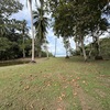  - Beachfront Property in Puerto Jimenez