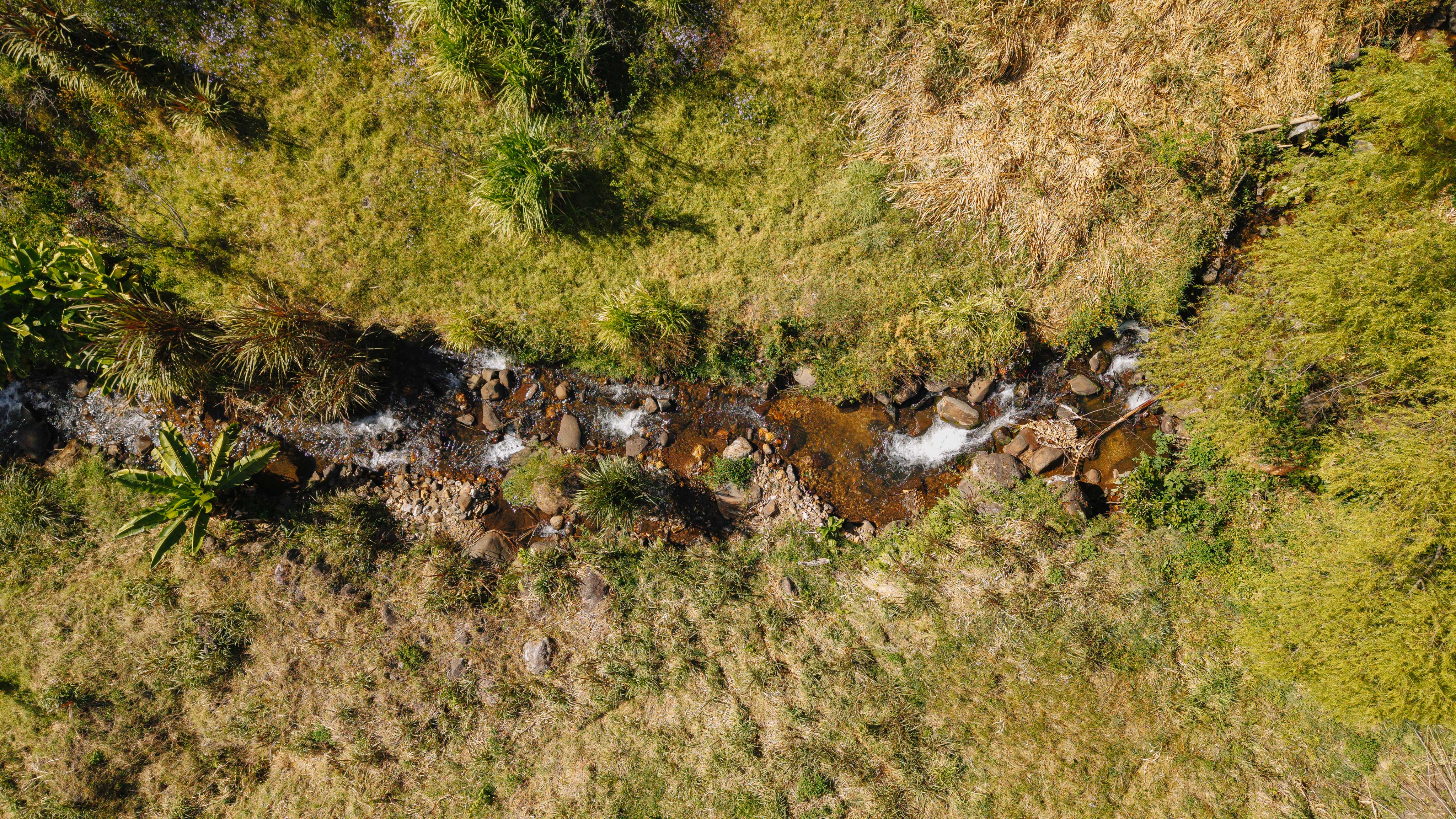 3 bed Land For Sale in Dota, San Jose - thumb 12