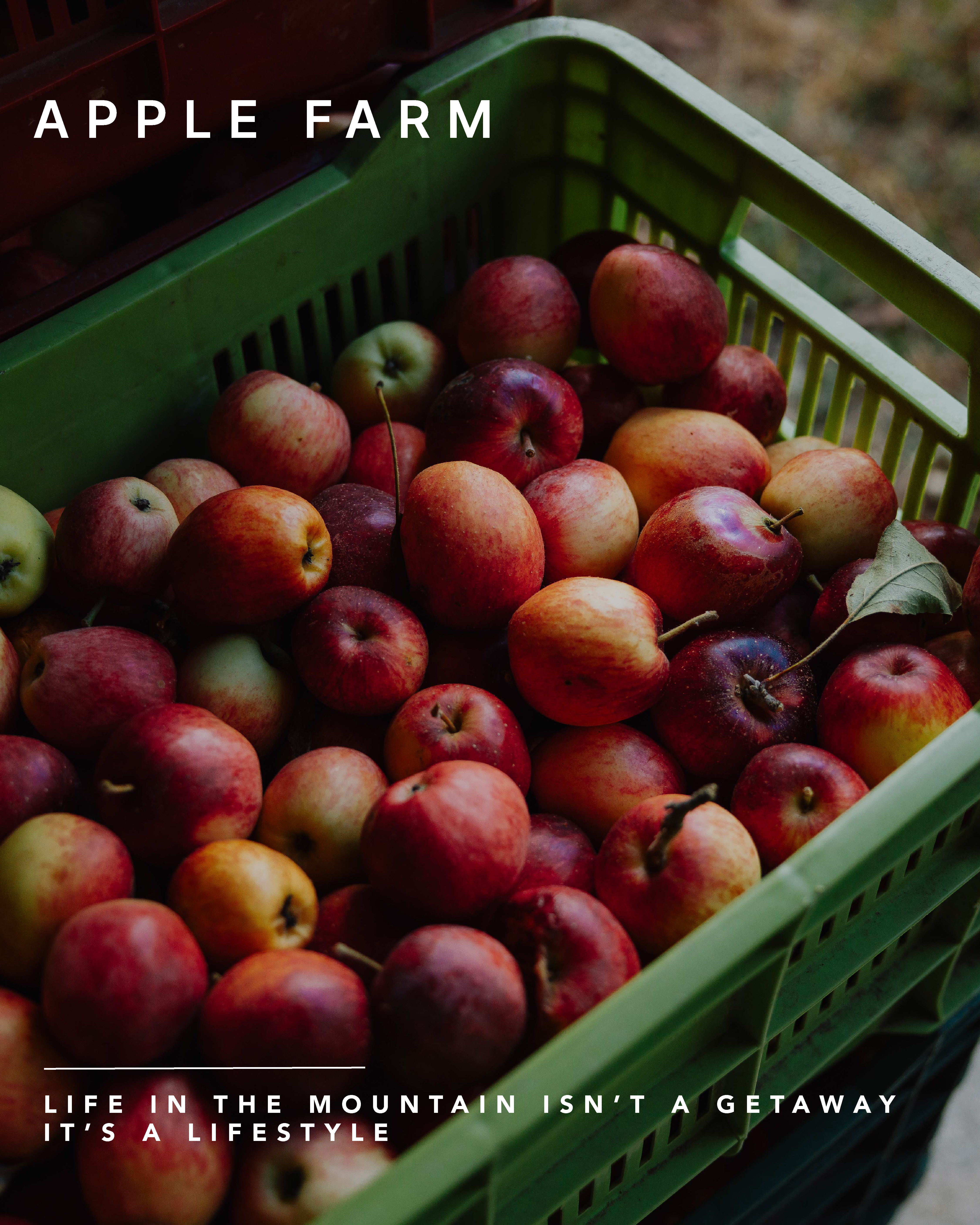 3 bed Land For Sale in Dota, San Jose - thumb 9