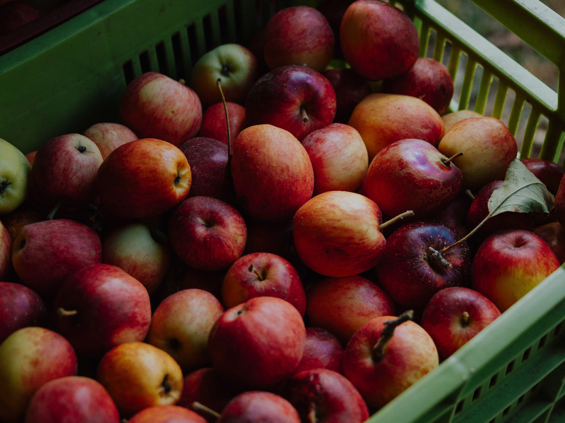 3 bed Land For Sale in Dota, San Jose - photo 9