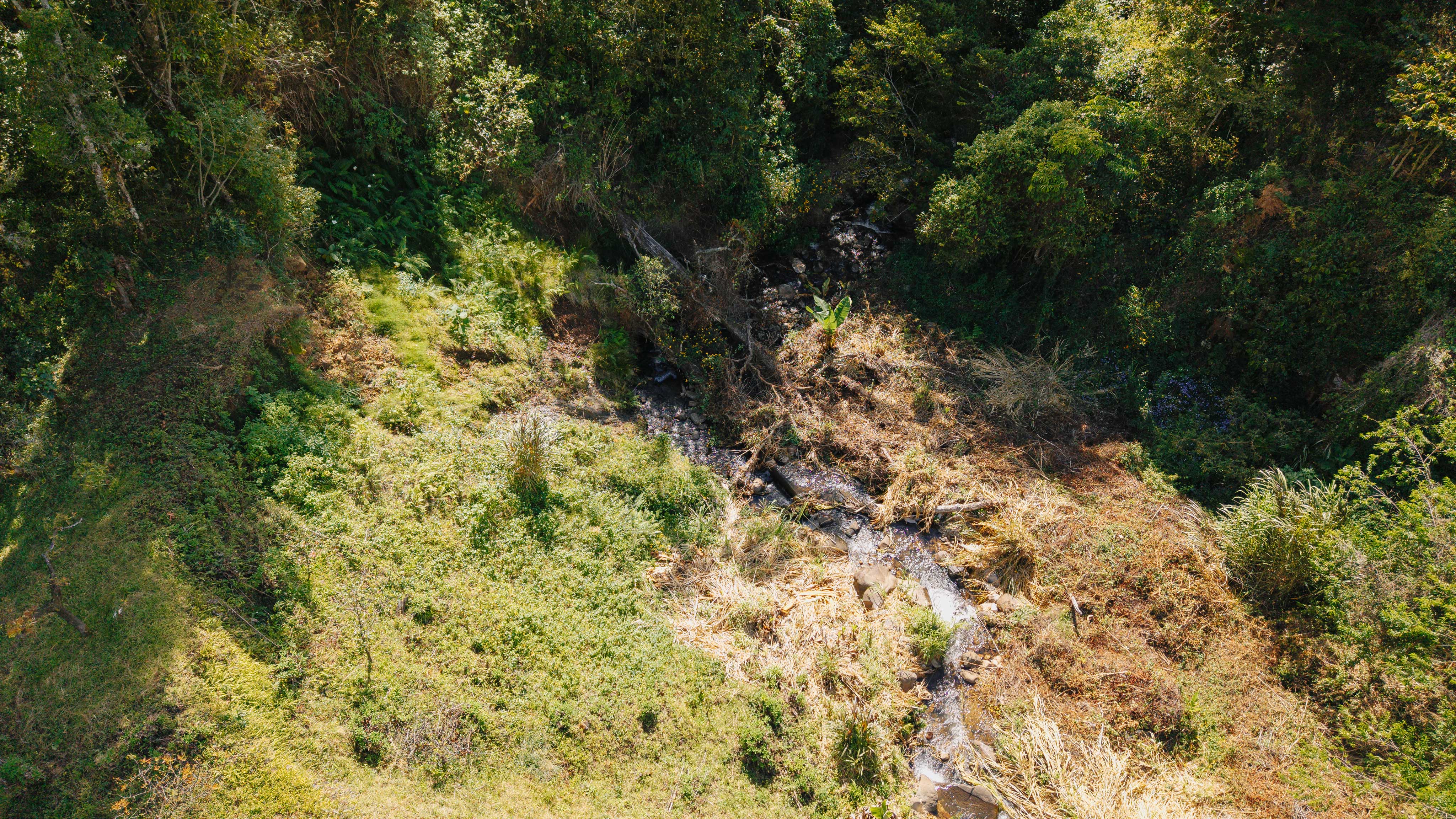 3 bed Land For Sale in Dota, San Jose - thumb 18