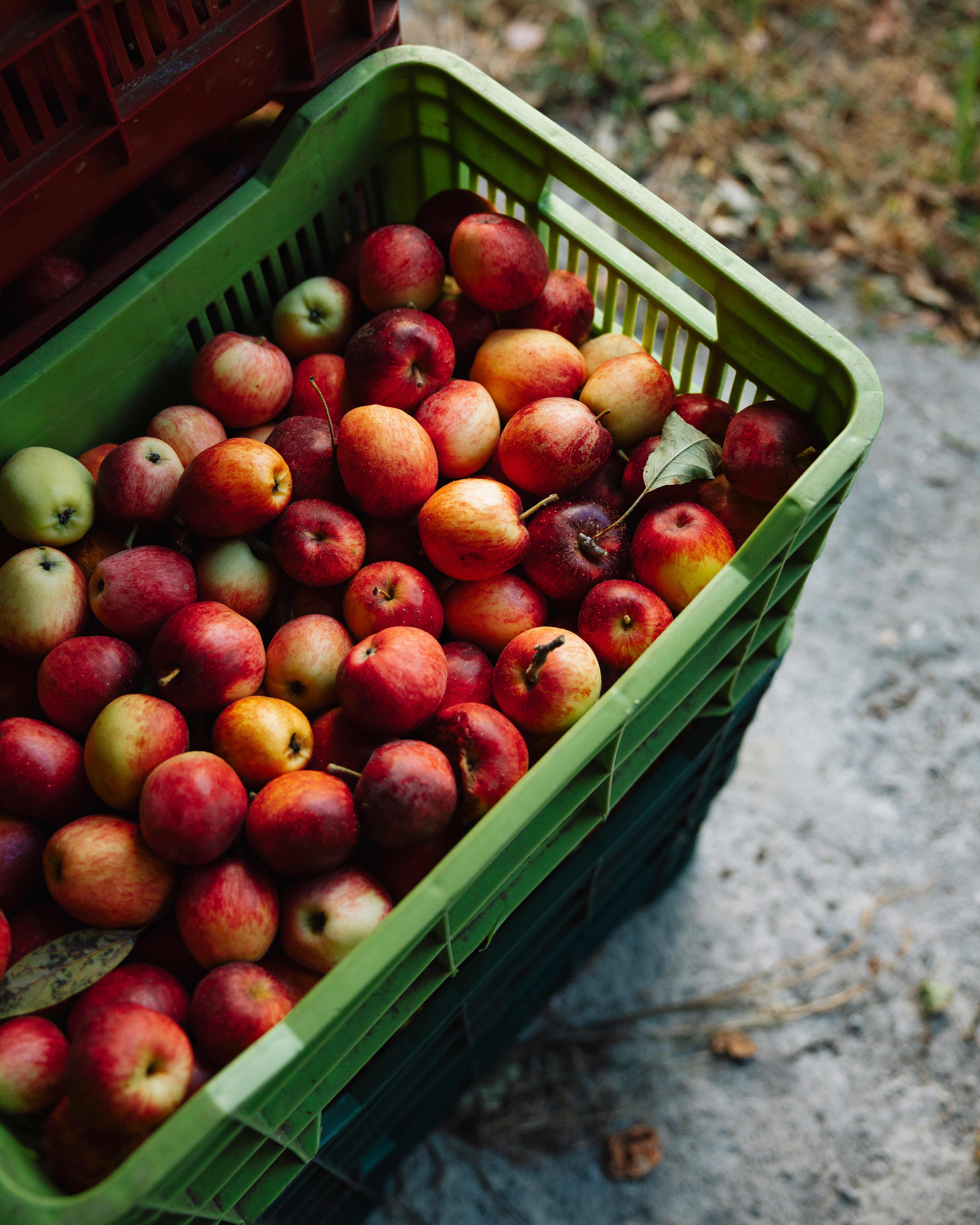 3 bed Land For Sale in Dota, San Jose - thumb 7