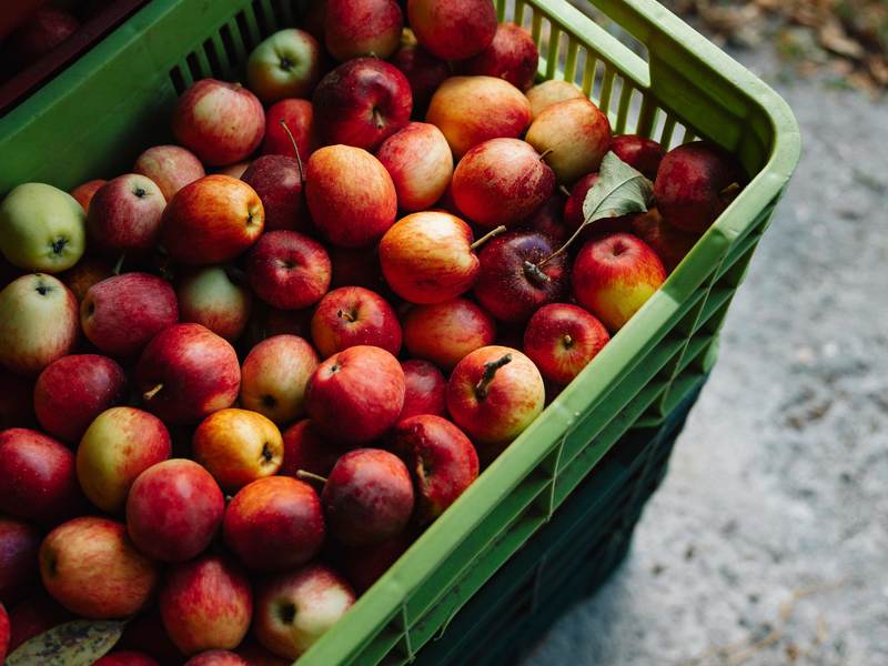 3 bed Land For Sale in Dota, San Jose - photo 7