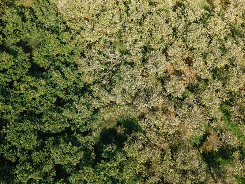 3 bed Land For Sale in Dota, San Jose - photo 8